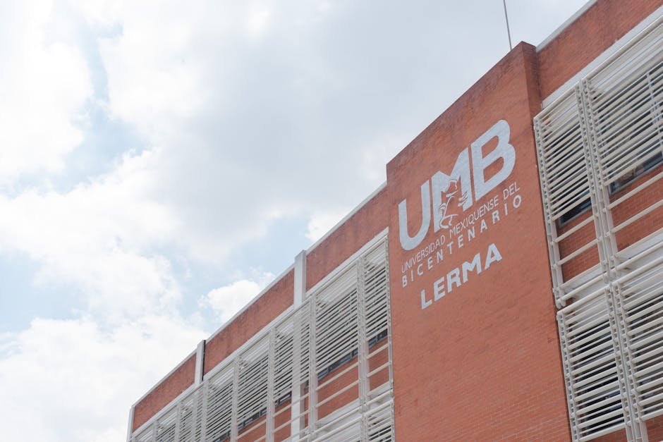 MBA em Modelagem de Processos de Negócios