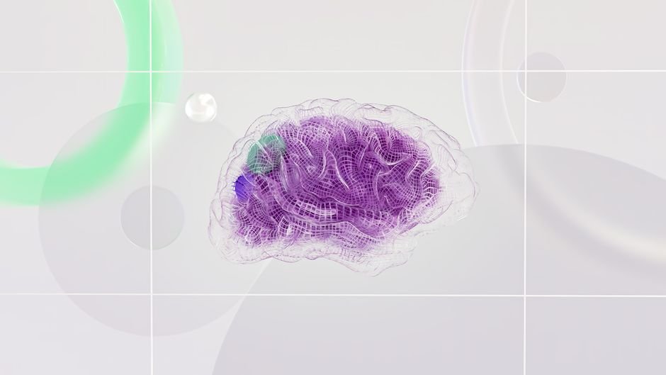 Neuropsicopedagogia